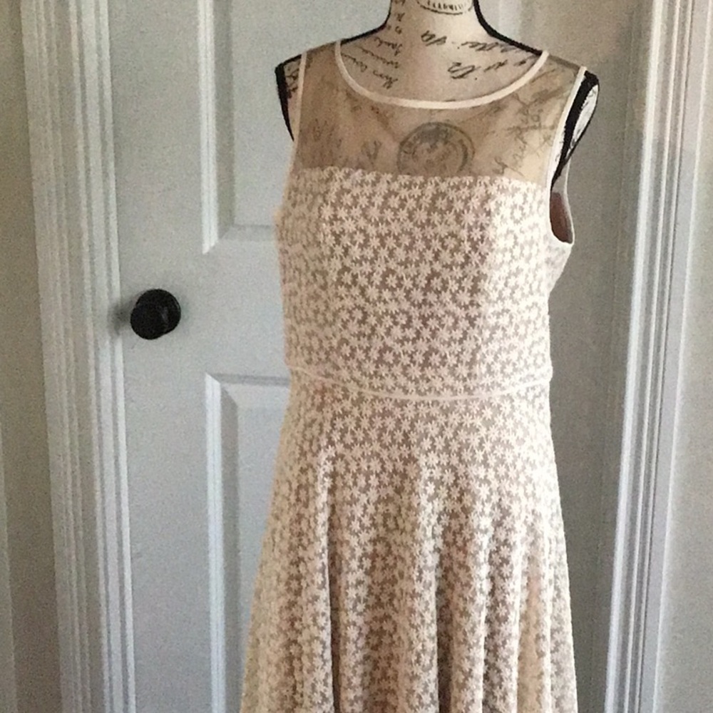 Adrianna Papell Cream/Tan Embroidered Mesh Sleeveless Lined Formal Dress Size 8